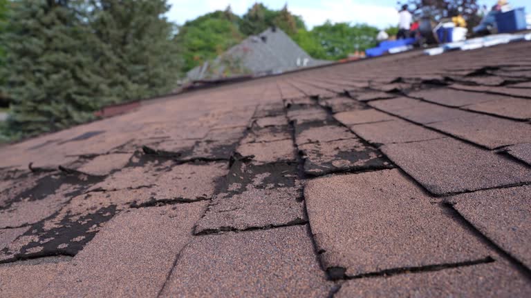 Gutter Replacement in Palm City, FL